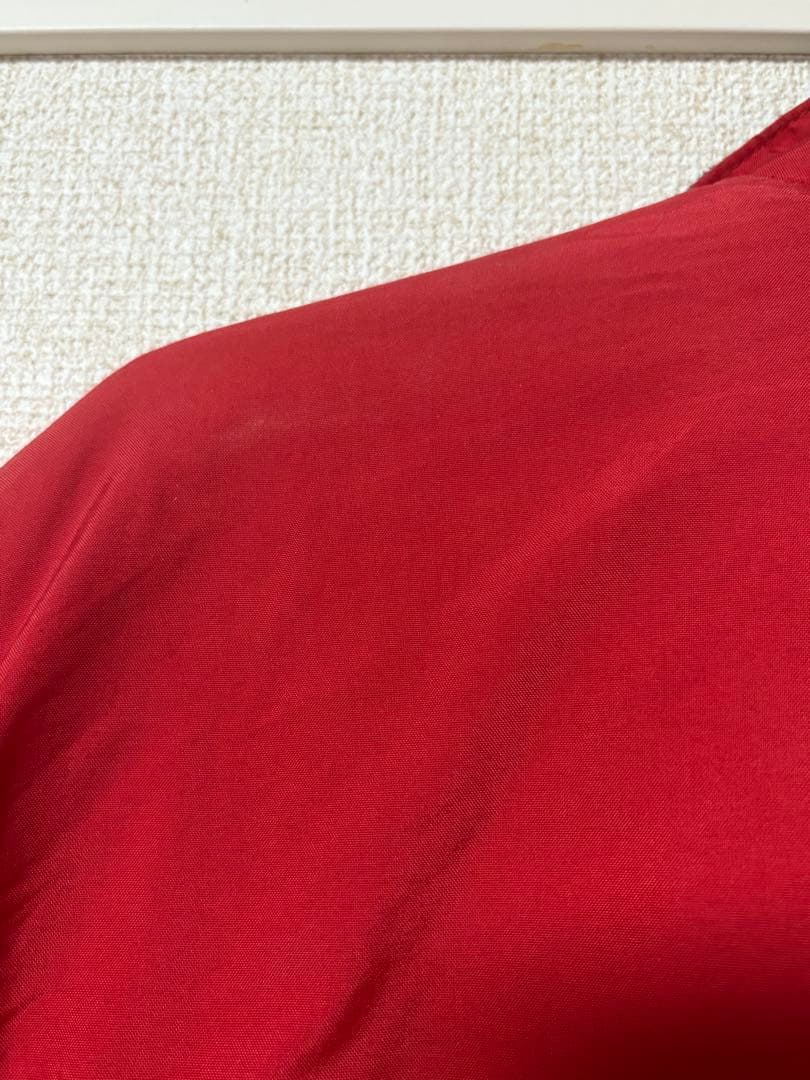 シェルドシンチラ　patagonia