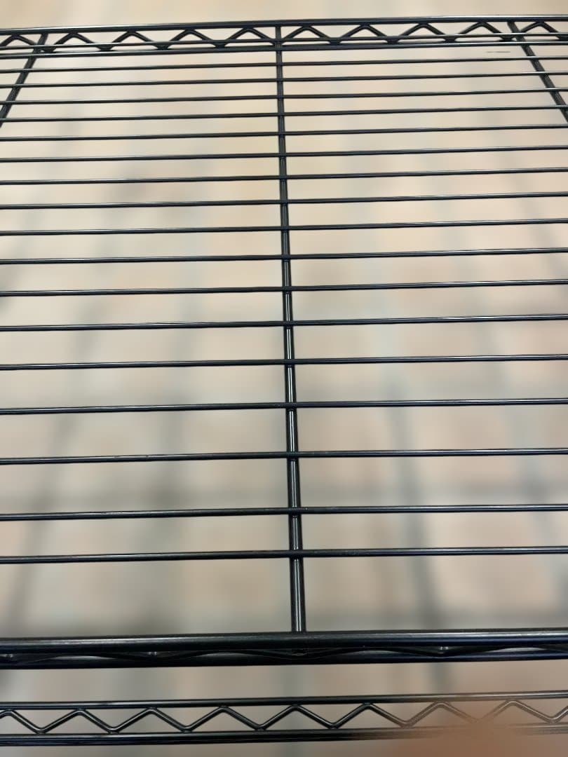 キノ西　2台まとめ ERECTA