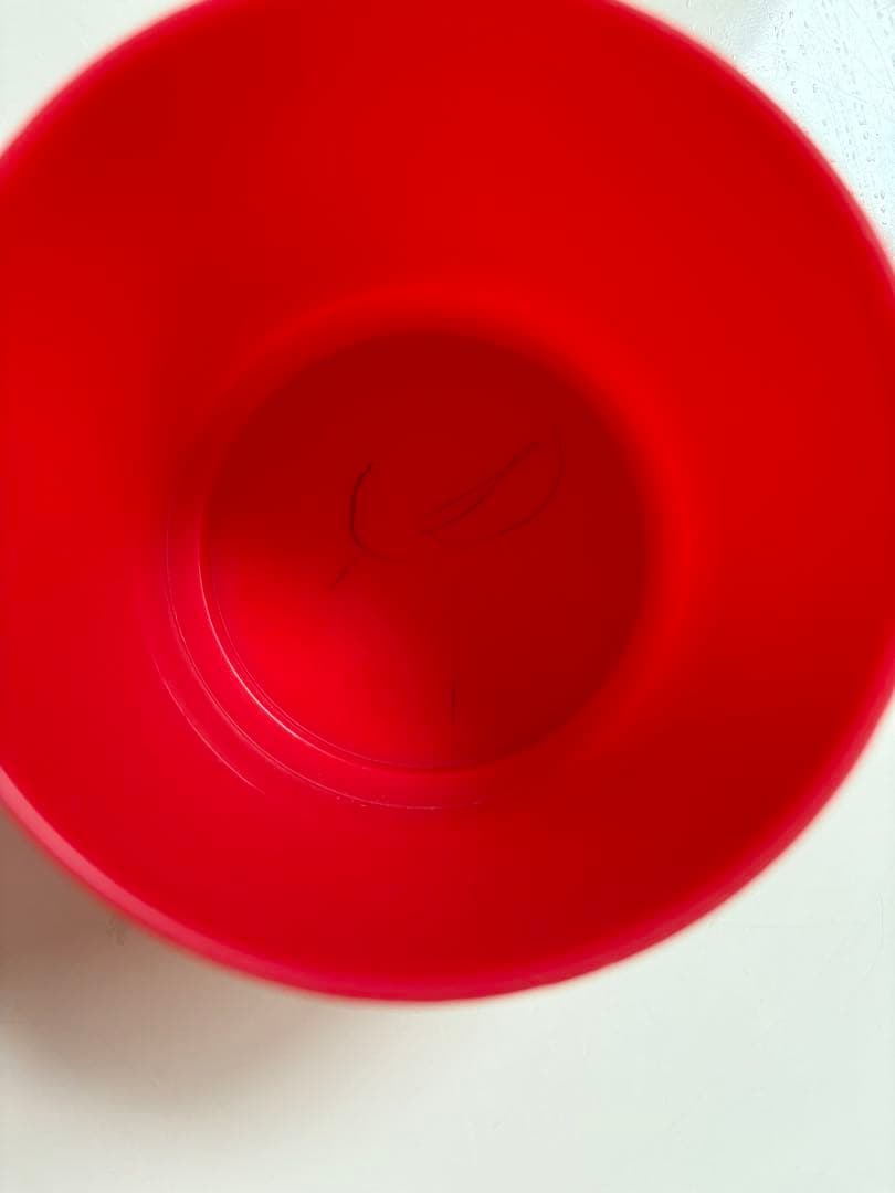 最新版プレイアロング　ブルーレイ　ディズニー英語システム DWE Blu-ray