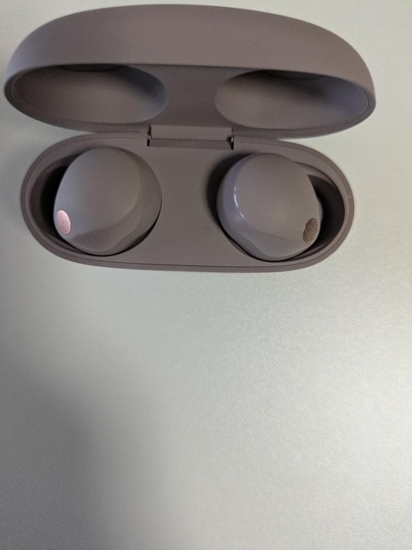 り*お様 【極美品】SONY WF-1000XM5プラチナシルバーソニーストア購