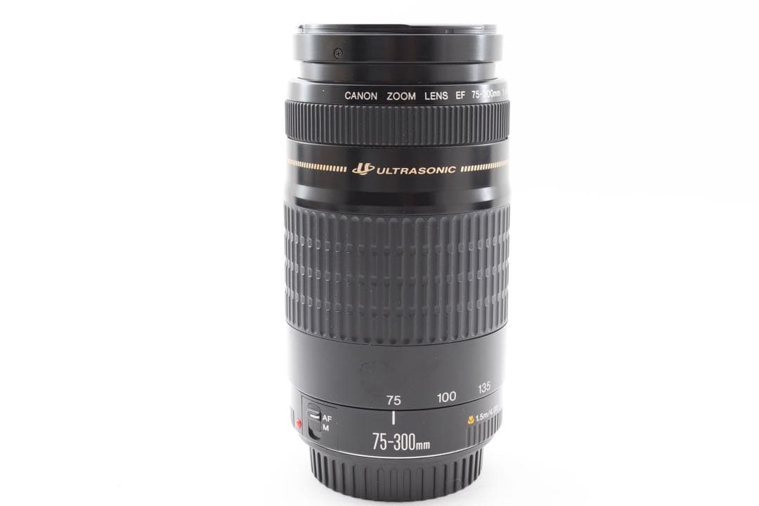 望遠レンズ☆キヤノン☆CANON EF 75-300㎜ F4-5.6