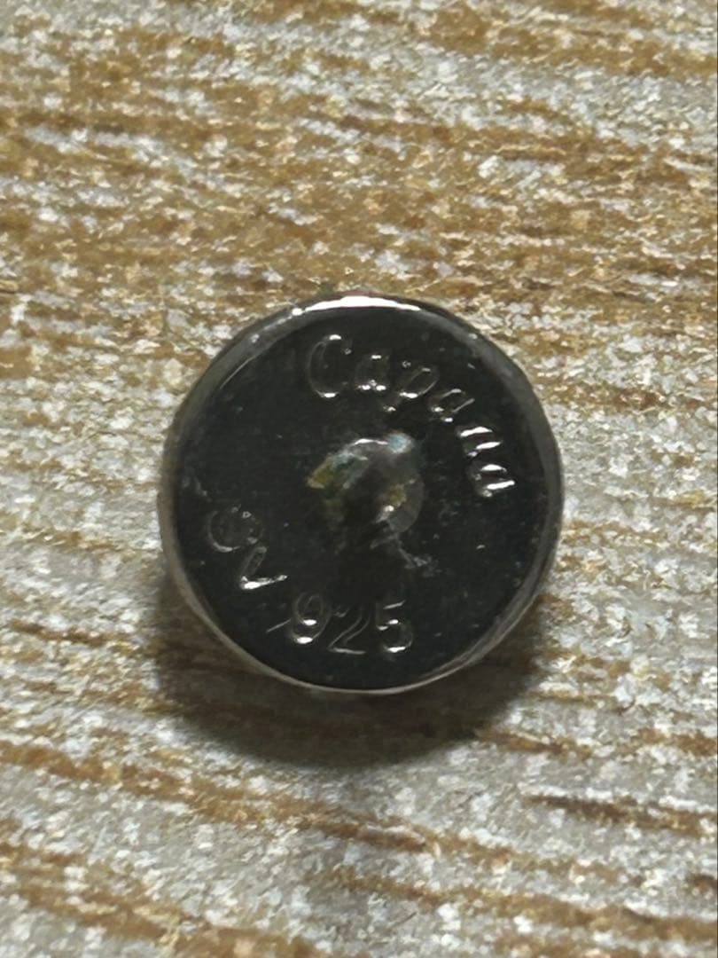 あい ピアスふたつ Capana CP019-SLV ワンポイントピアス