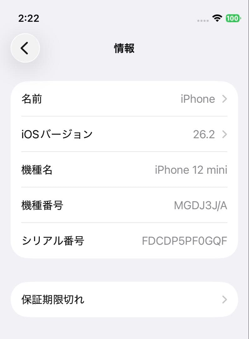 iPhone 12 mini 128GB ブルー　SIMフリー
