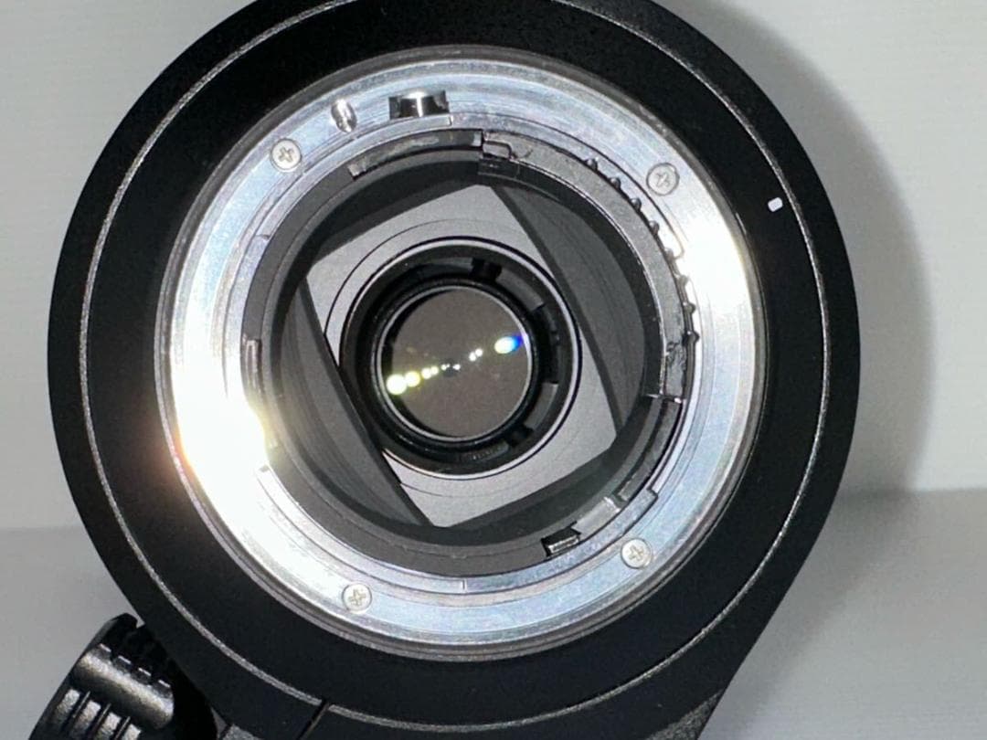 阪*光様 TAMRON SP 150-600mm F5-6.3 Di VC US