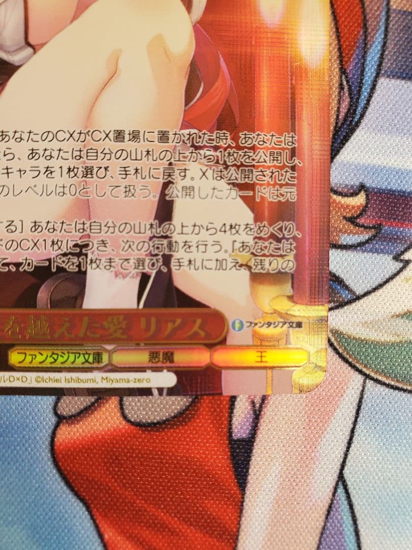 主従を越えた愛 リアス サイン SEC