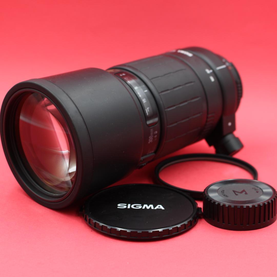 ❤️ポートレートOK❤️SIGMA 300mm F4❤️圧縮効果❤️ニコン用❤️