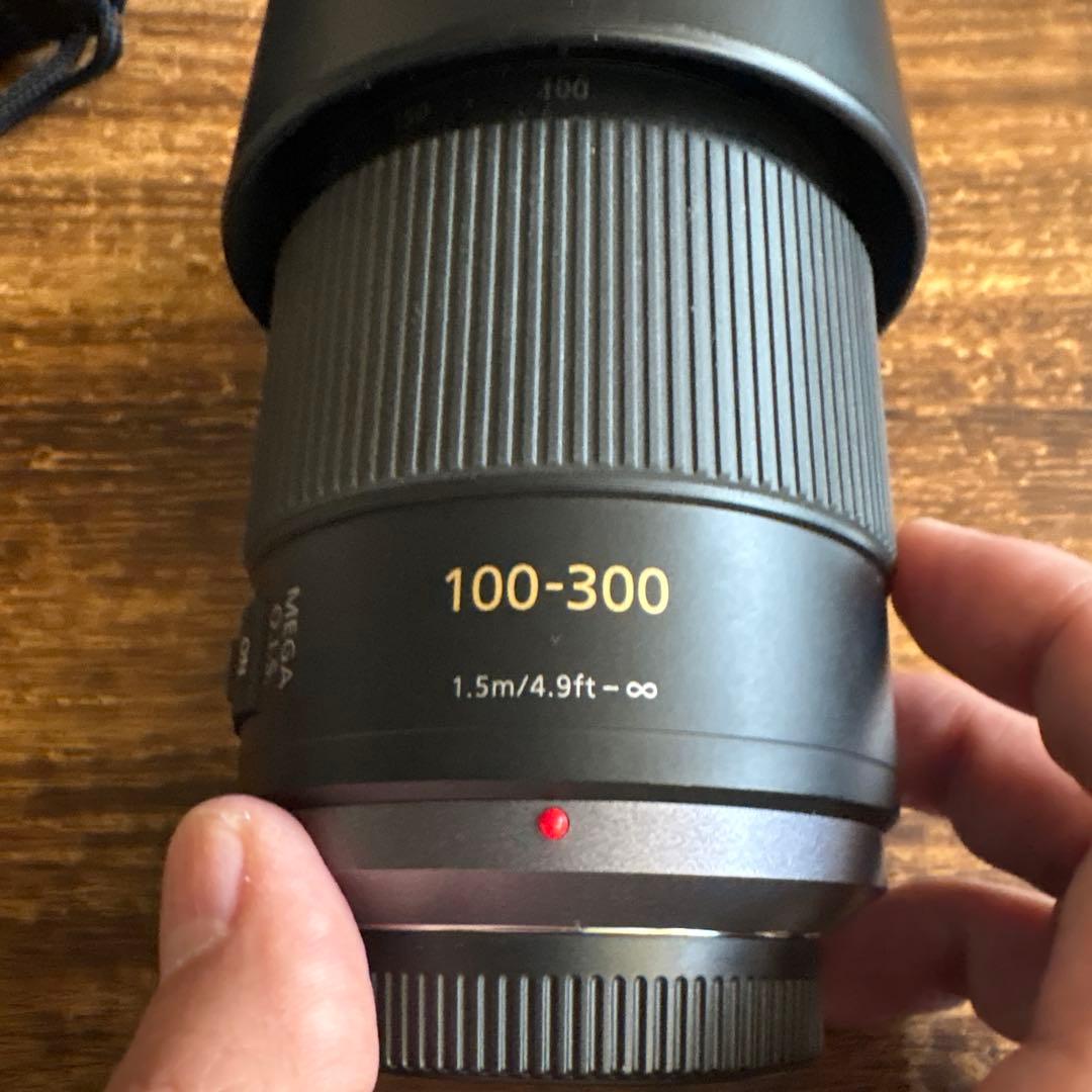 Panasonic H-FS100300 100-300mm ズームレンズ