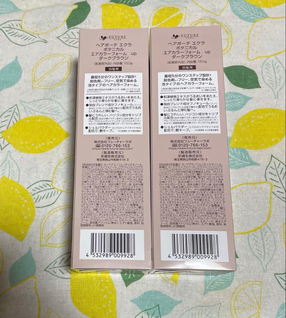ヘアボーテエクラボタニカル　エアカラーフォームup ダークブラウン2本