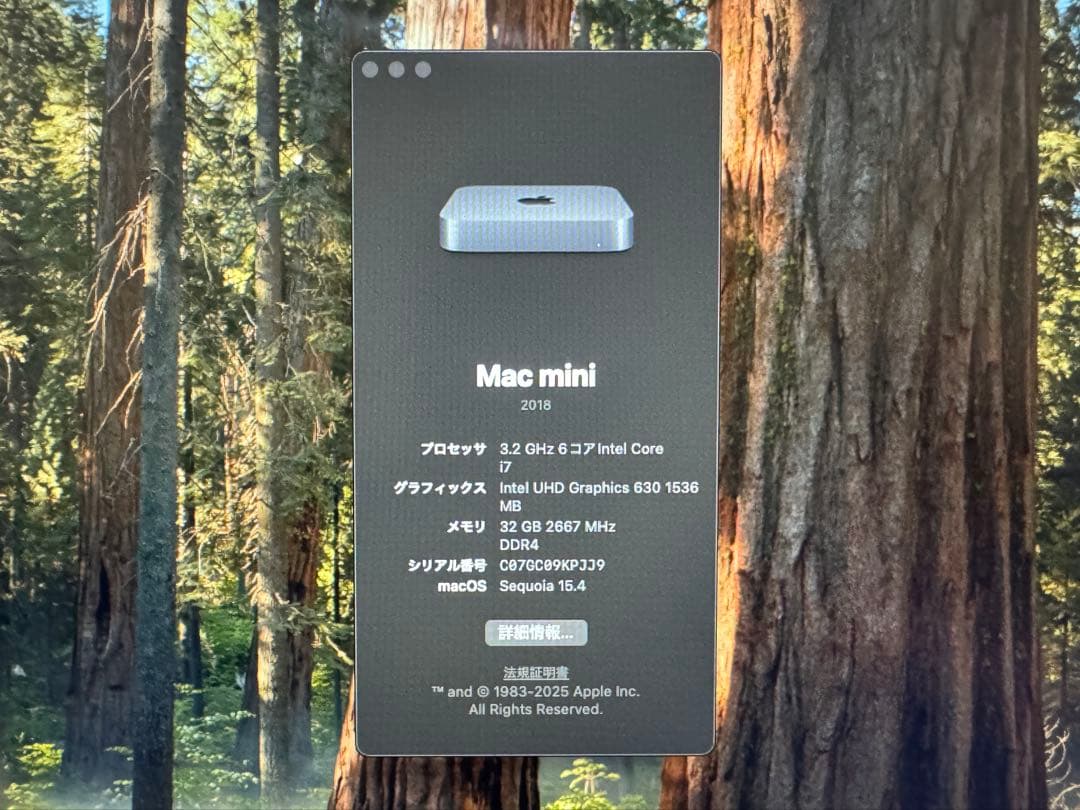 【ほぼ新品】Apple Mac mini 2018 Core i7/32GB