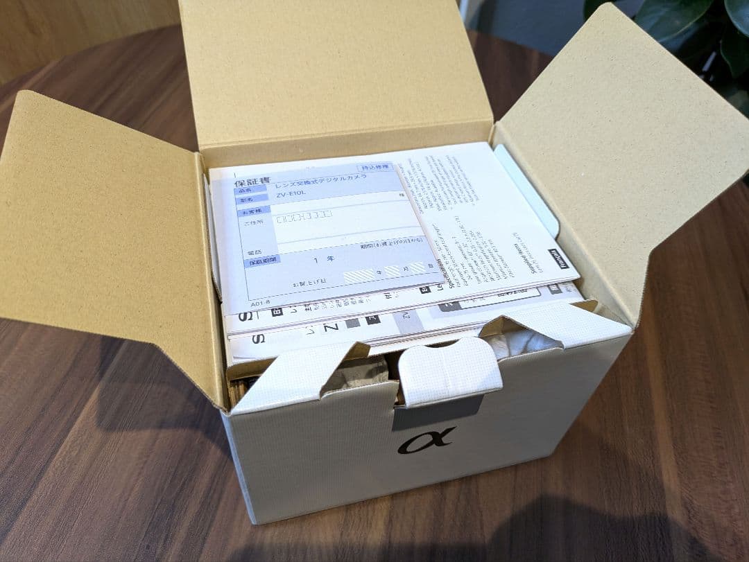 【極美品】SONY ZV-E10 一眼レフカメラ 4K【シャッター回数2回】