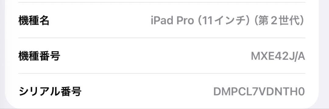 【美品】iPad Pro 11 第2世代 256GB SIMフリースペースグレイ