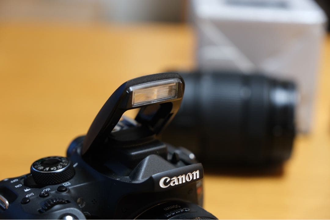 Canon EOS Kiss X9i Wi-Fi搭載モデル レンズ2つ付き