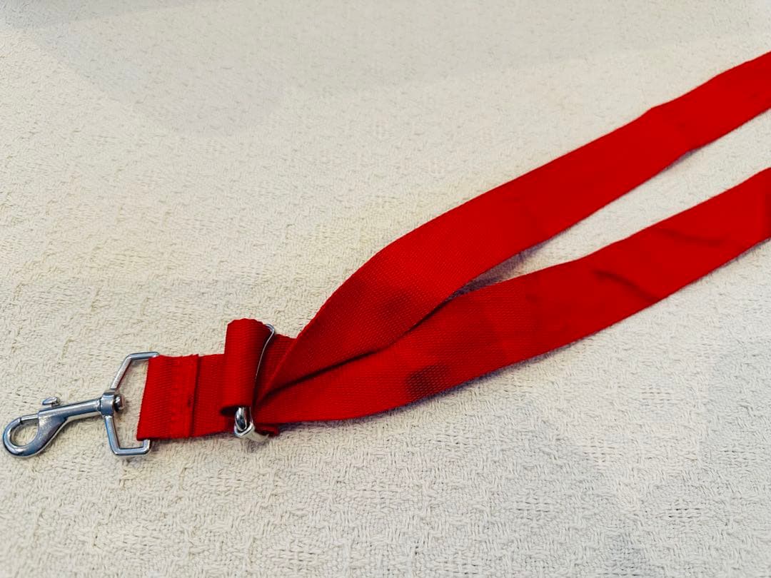 JET KIDS ジェットキッズ　BEDBOX 赤　キャリーケース　子供