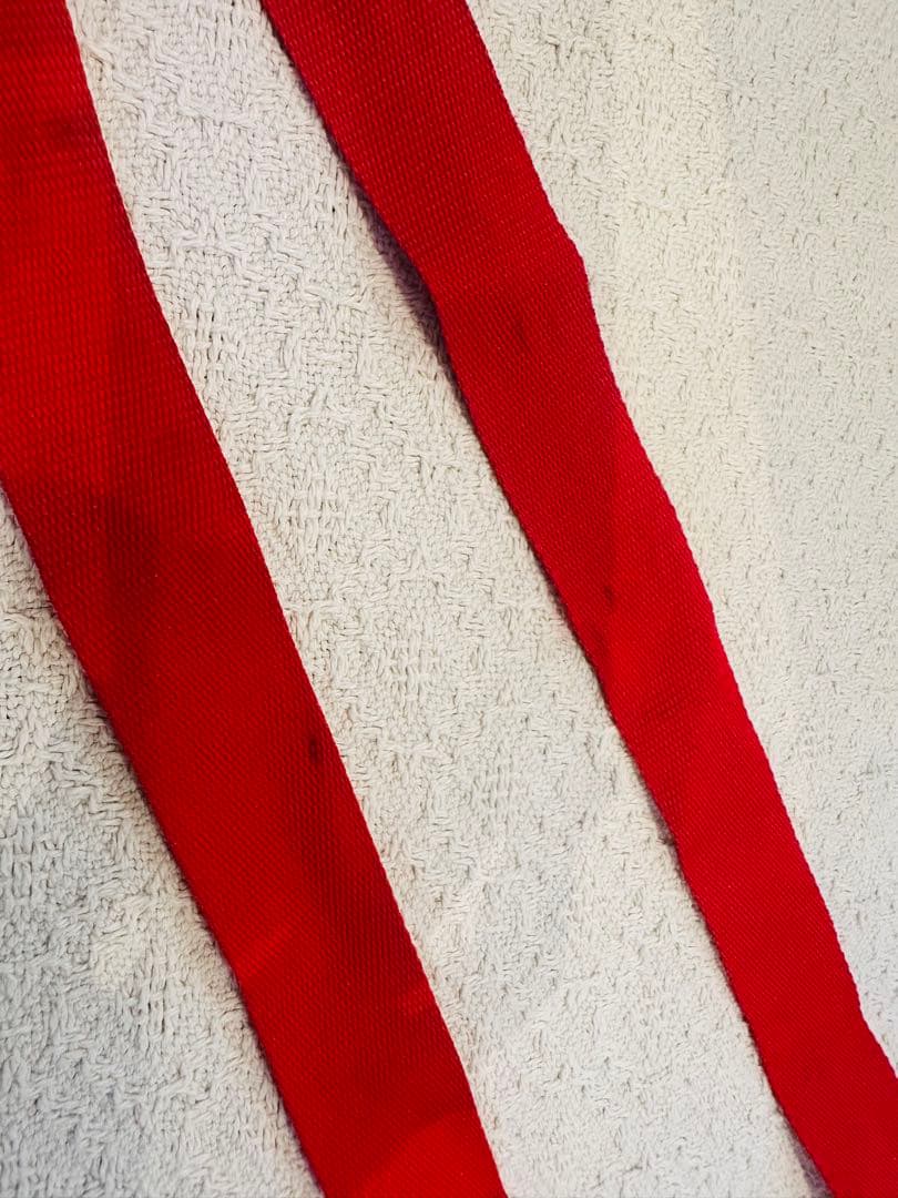 JET KIDS ジェットキッズ　BEDBOX 赤　キャリーケース　子供