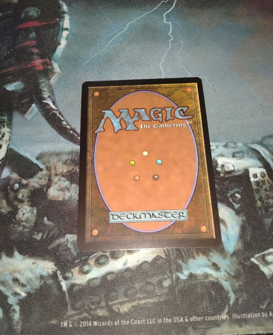 mtg 沼/Swamp　Foil