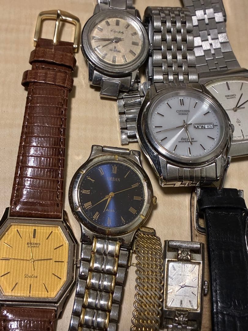 ホワイトキャット