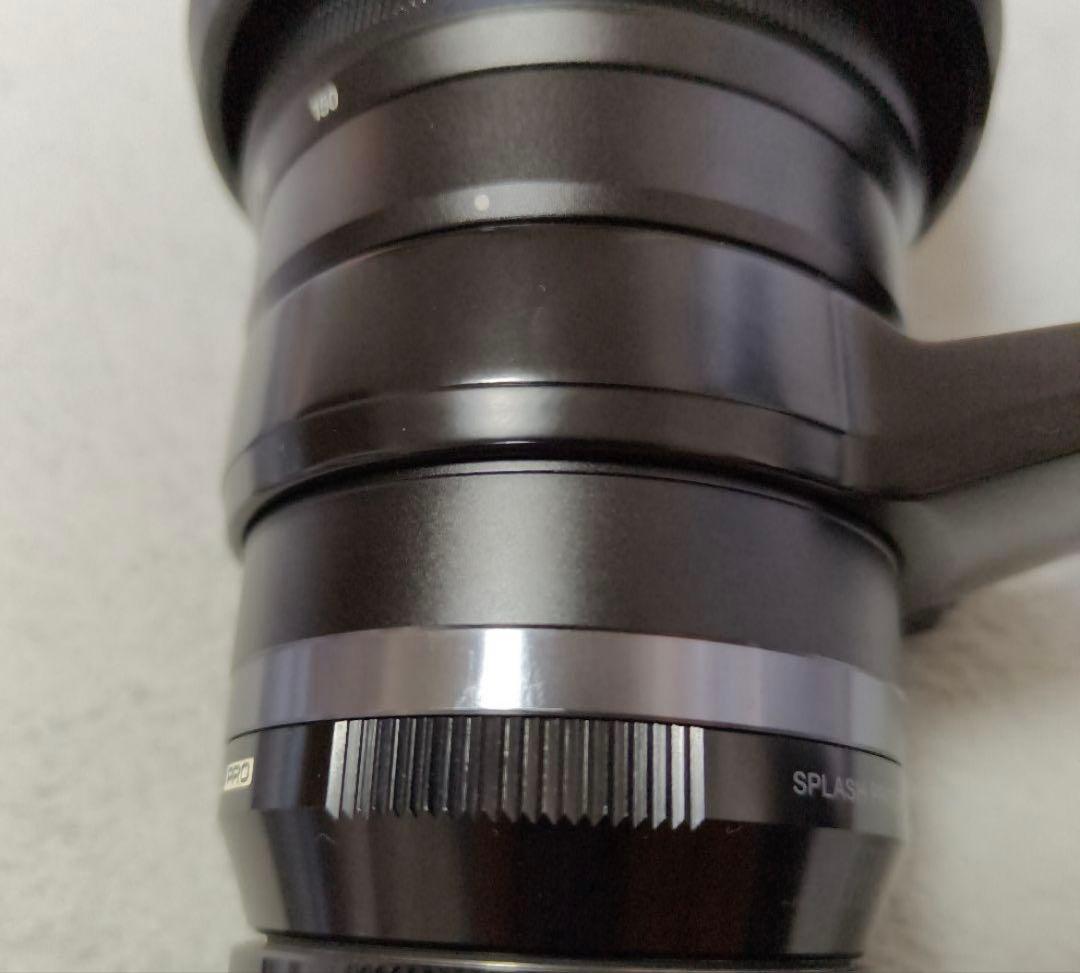 R*M様 OLYMPUS M. Zuiko 40-150F2.8 (テレコン無)