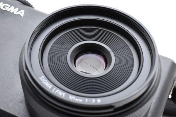 シグマ SIGMA DP2 Merrill