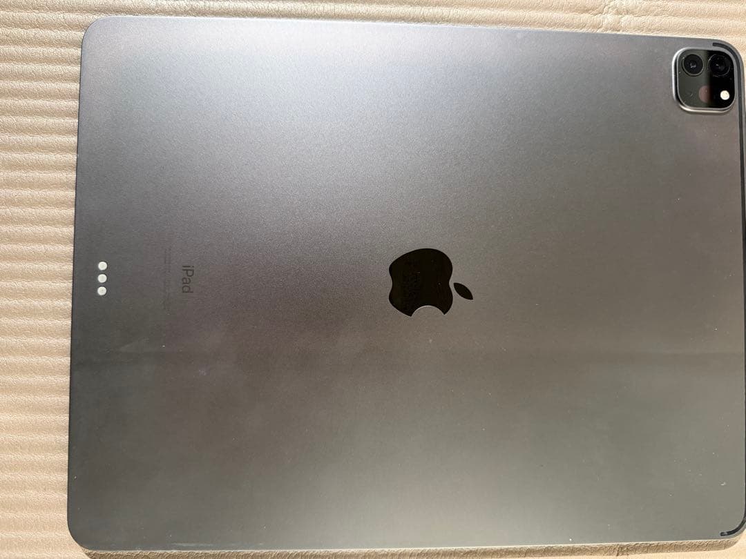 天*水様 画面焼けあり　iPad Pro 12.9インチ 256GB Wi-Fi