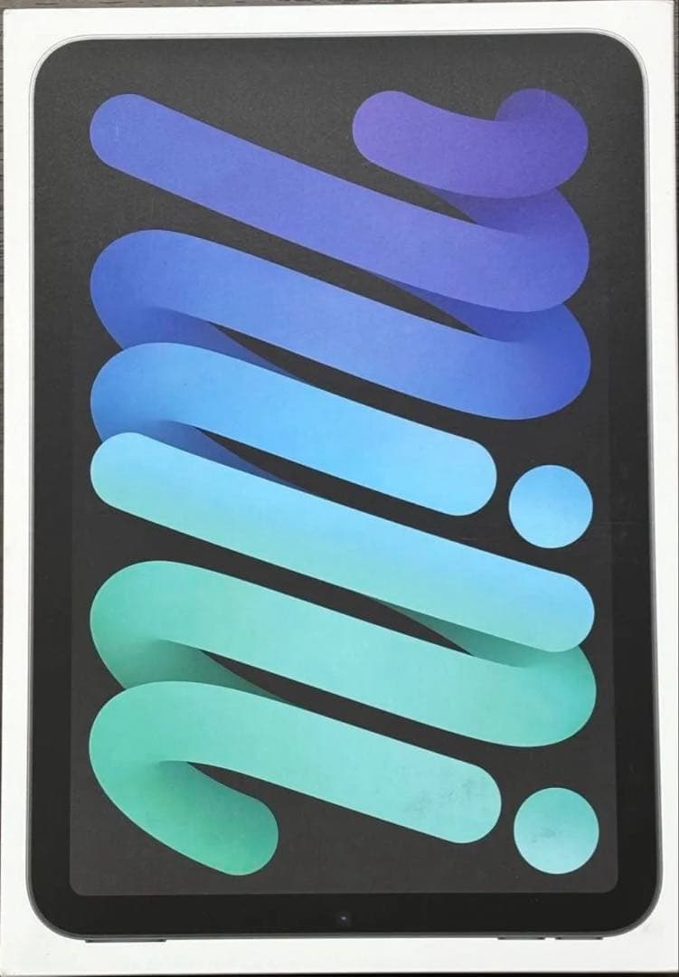 Apple iPad mini (第7世代) 128GB グラファイト