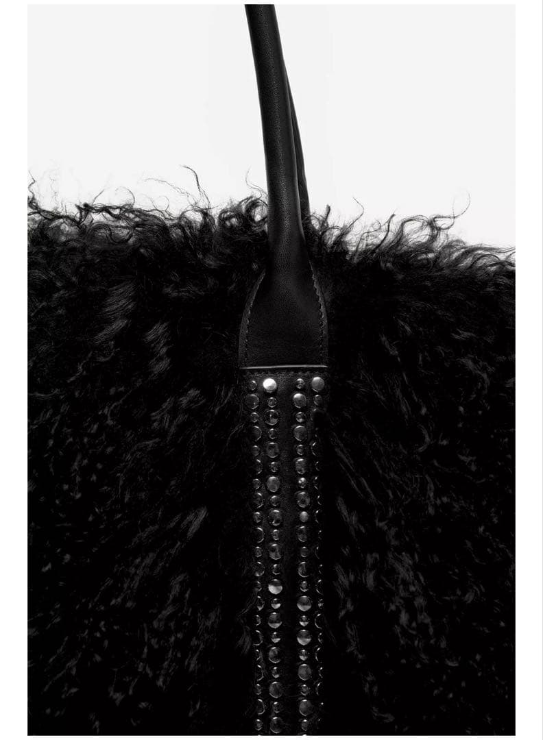 LUDOVIC DE SAINT SERNIN X ZARA トートバッグ