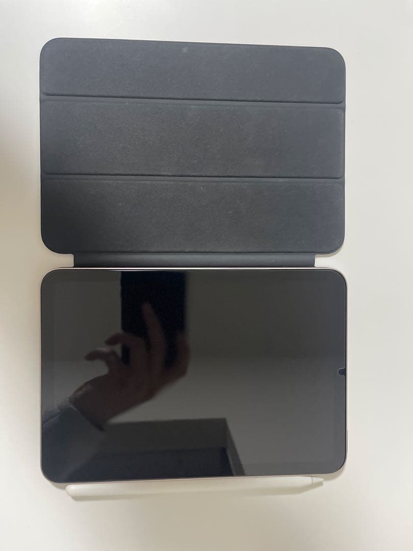 iPad mini ローズゴールド + Apple Pencil+ケース