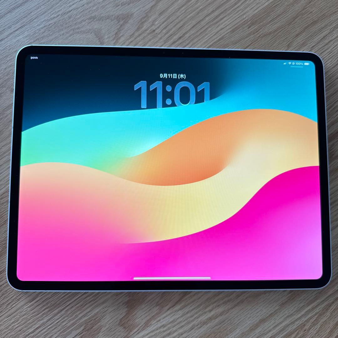 M4 13インチ iPad Pro 256GB Wi-Fi + Cellular