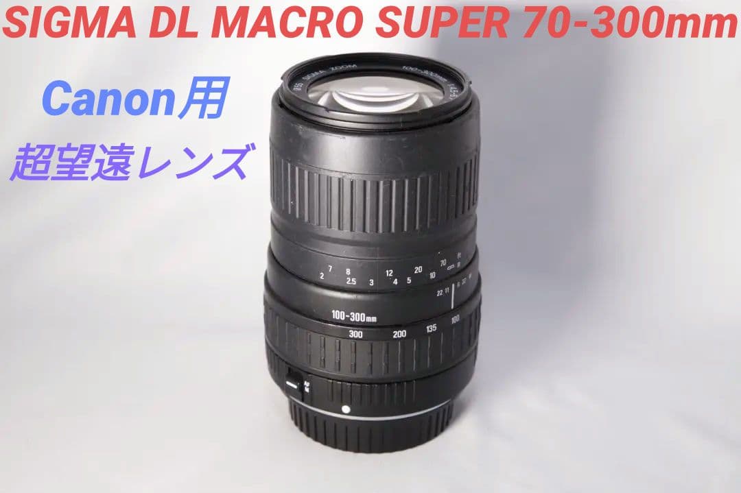 【Canon用】SIGMA DL MACRO SUPER 70-300mm