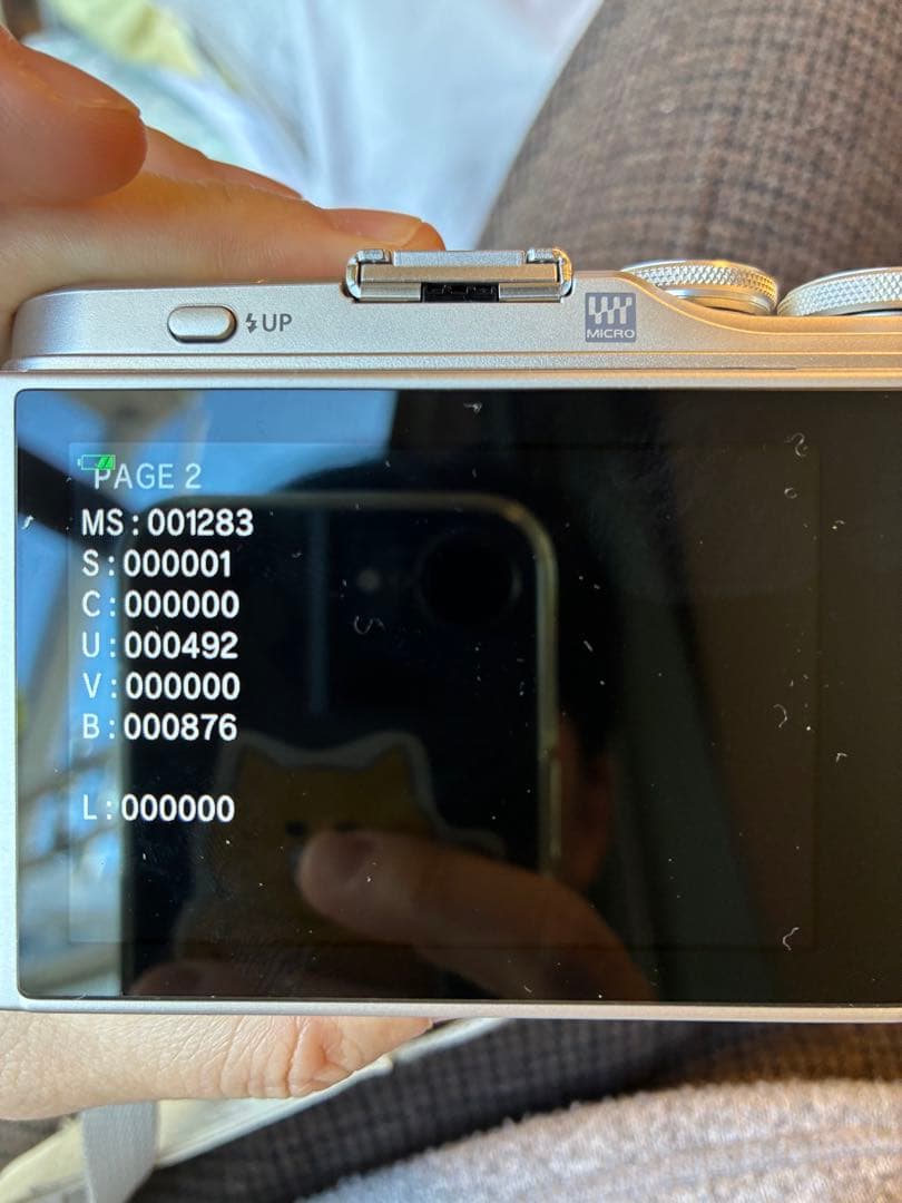 値下げ　OLYMPUS PEN E-PL9 美品 付属品多数 シャッター少