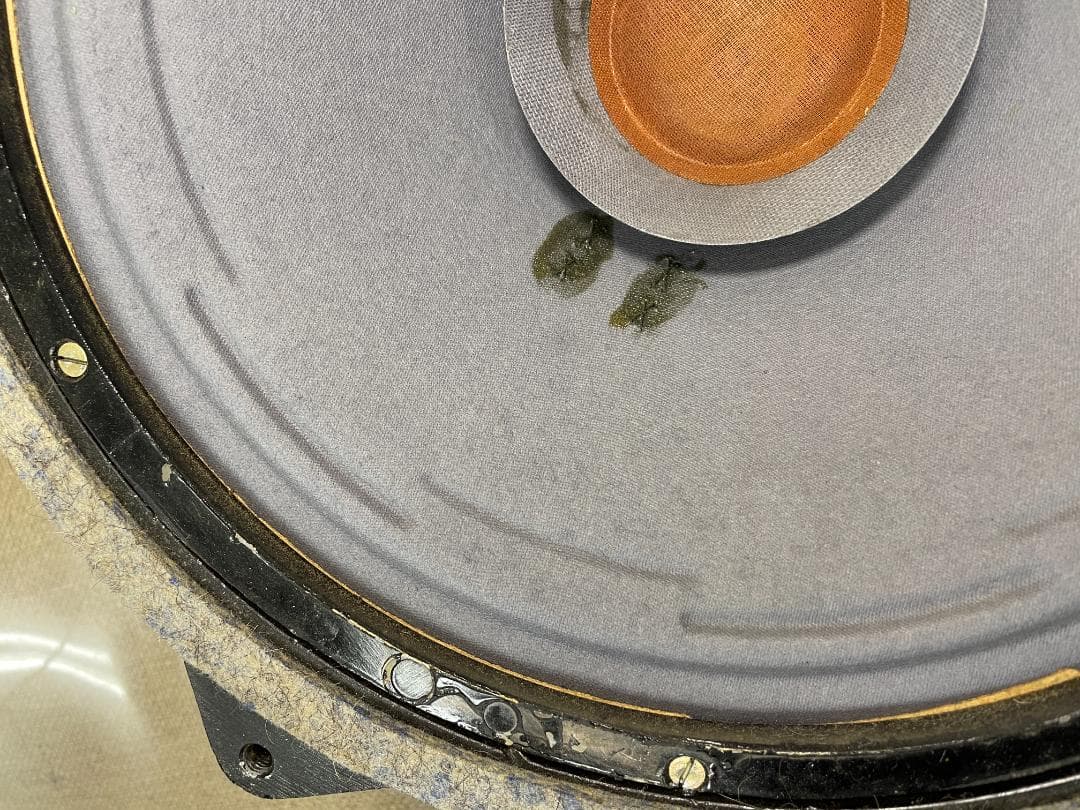 希少 Siemens シーメンス 30cm口径 ウーファー ヴィンテージユニット