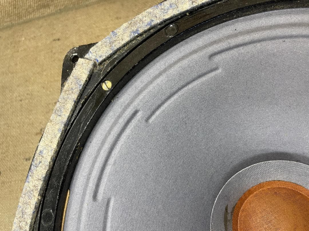 希少 Siemens シーメンス 30cm口径 ウーファー ヴィンテージユニット