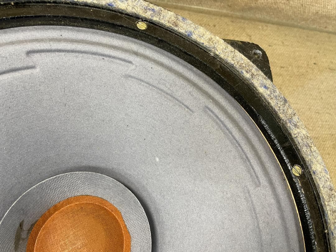 希少 Siemens シーメンス 30cm口径 ウーファー ヴィンテージユニット