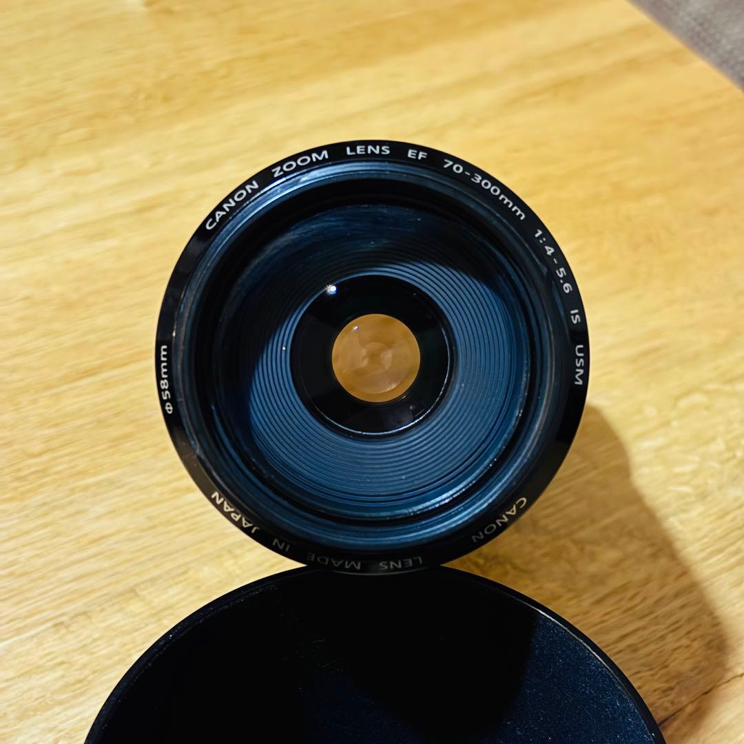 レンズ(ズーム) Canon EF70-300mm 1:4-5.6 IS USM