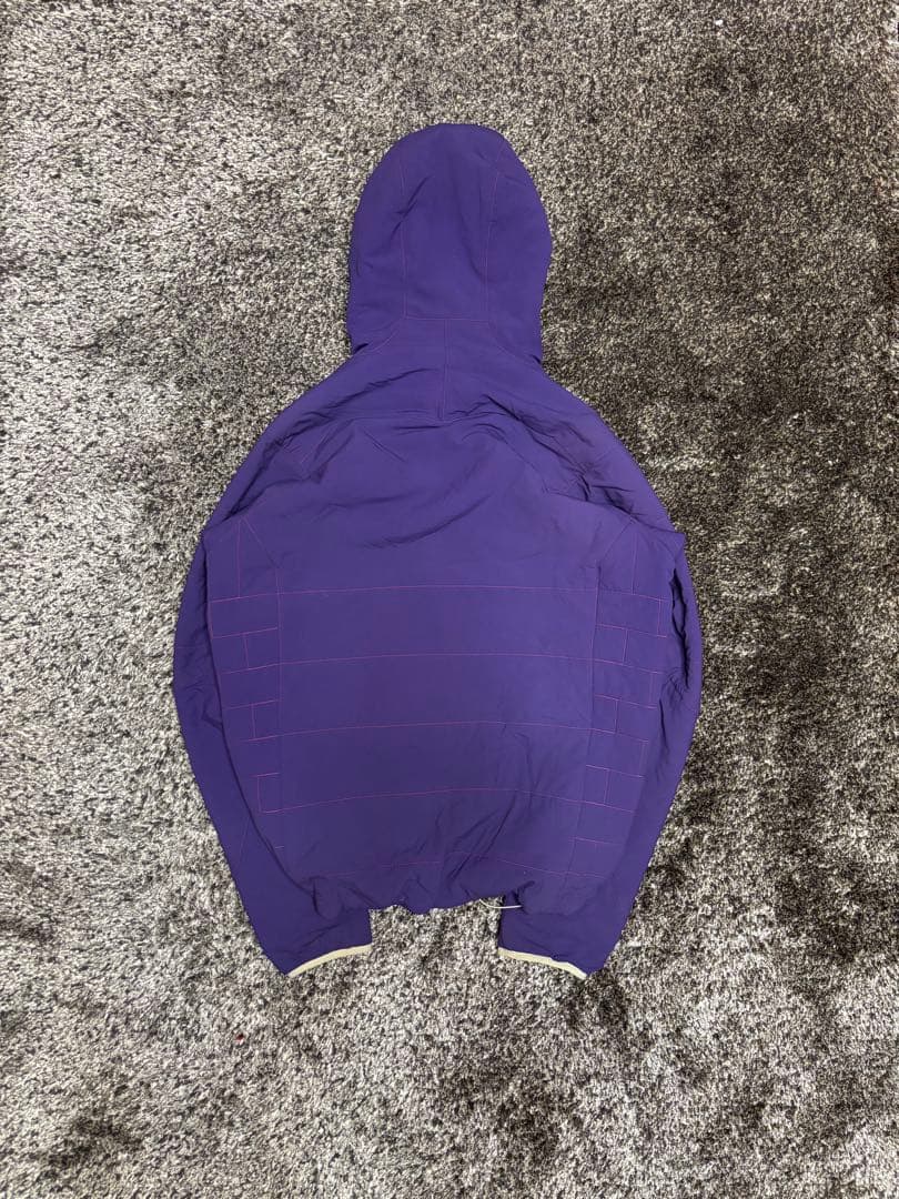 【美品】10s Patagonia ナノエアフーディ 人気カラー