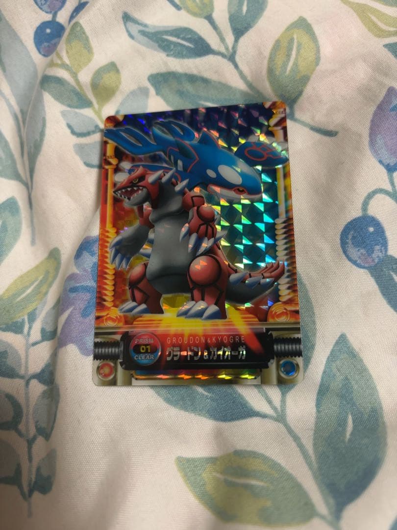 ポケットモンスター　ポケモン図鑑カード　ポケカ グラードン&カイオーガ　レア