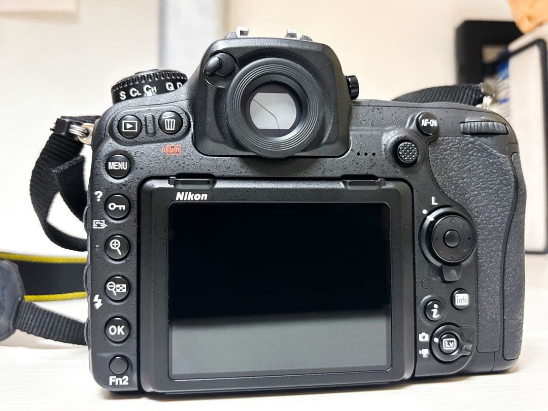 【大特価】一眼レフ Nikon D500