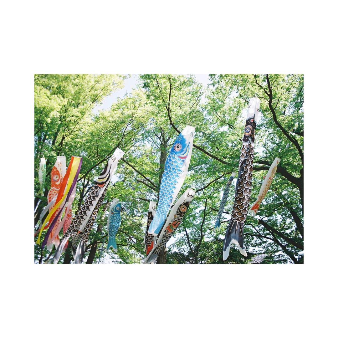 ⌘実写確認済み、電池付き！ Canon EOS Kiss Ⅲ レンズセット！⌘