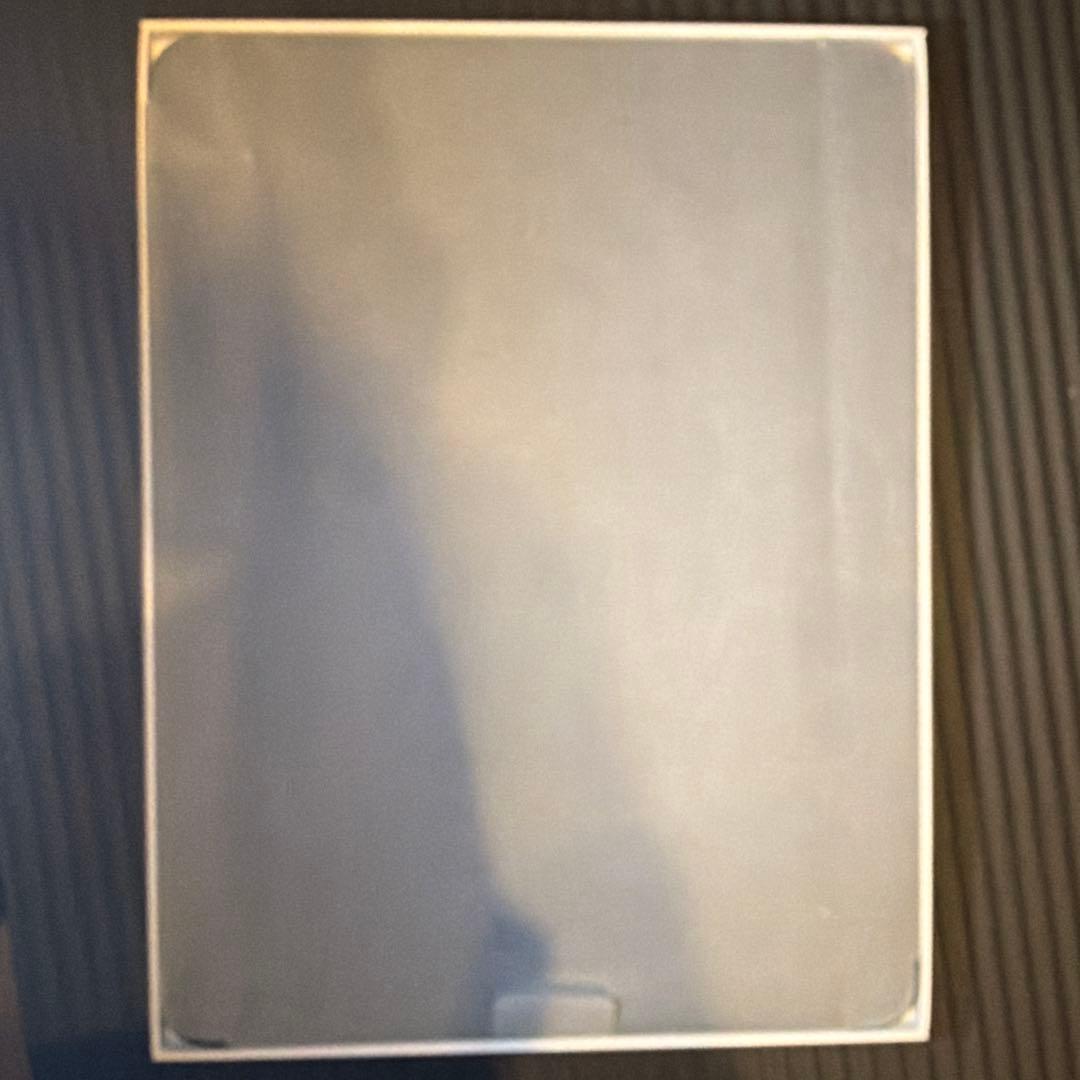 iPad Pro (第7世代) 13インチ　ナノテクスチャーガラス 1TB