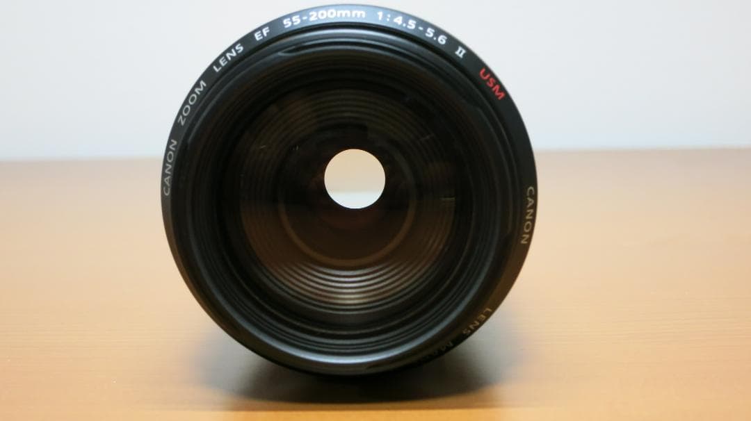 キャノン EF 55-200mm F4.5-5.6 Ⅱ USM #s-14