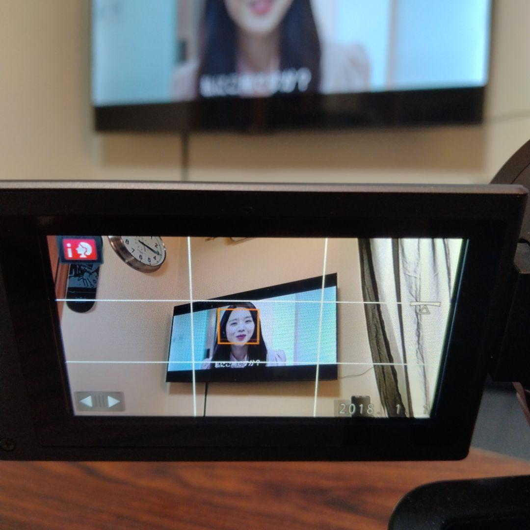 ✨️新品級✨️ Panasonic HC-VX1M 4K デジタル ビデオカメラ