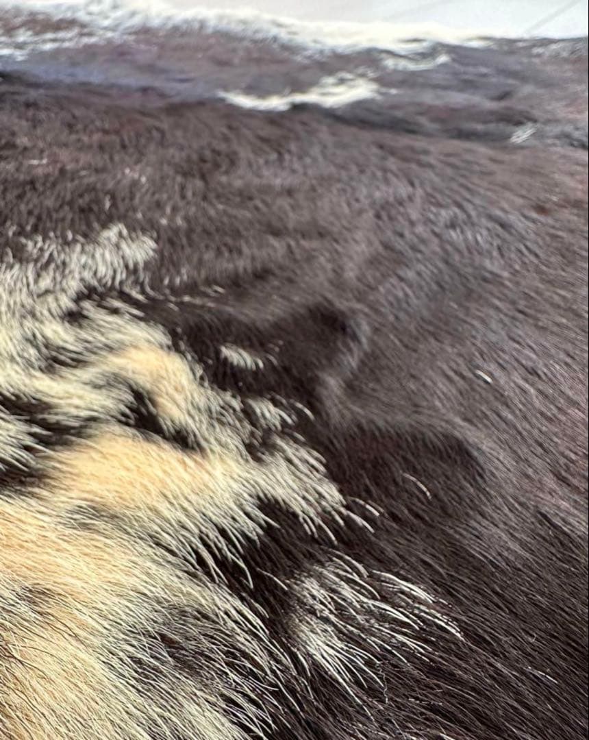 カウラグ 牛革 ラグマット ハラコ ミッドセンチュリー インダストリアル