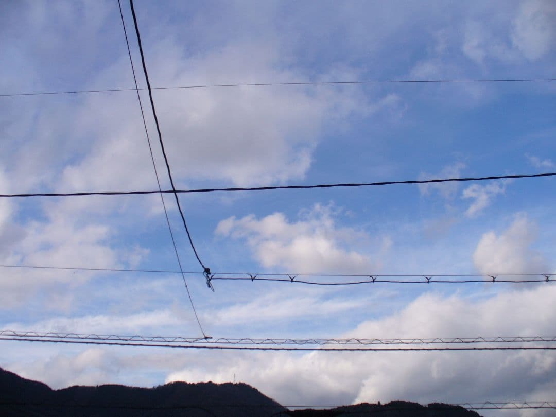 動作確認済み Panasonic LUMIX DMC-LZ2 スマホ転送OK