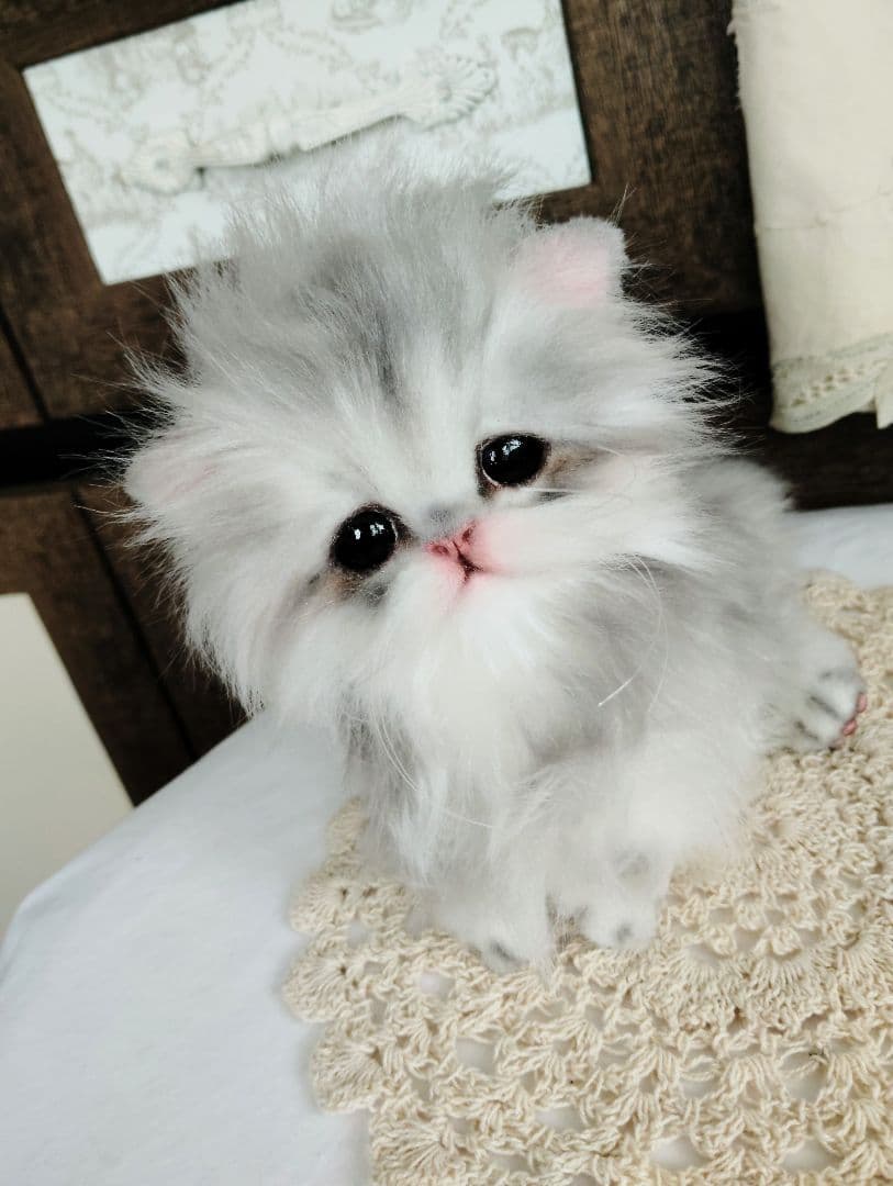 ペルシャベビー♡子猫のシュガーちゃん♡アートドール♡ぬいぐるみ♡