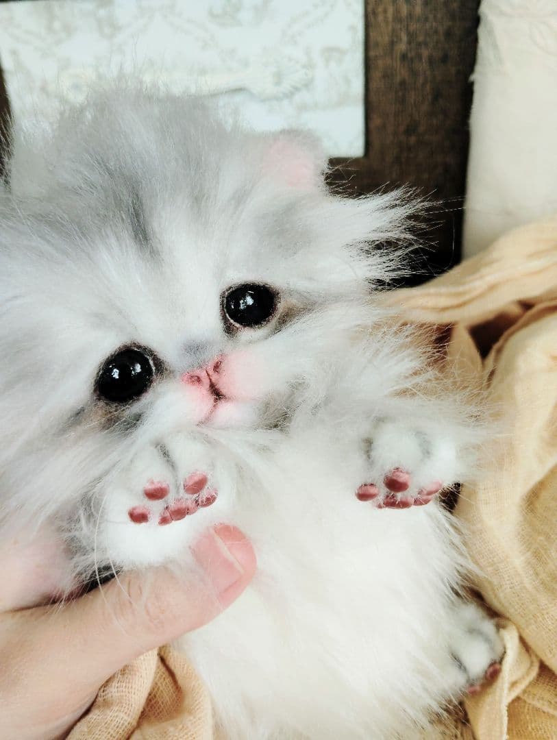 ペルシャベビー♡子猫のシュガーちゃん♡アートドール♡ぬいぐるみ♡