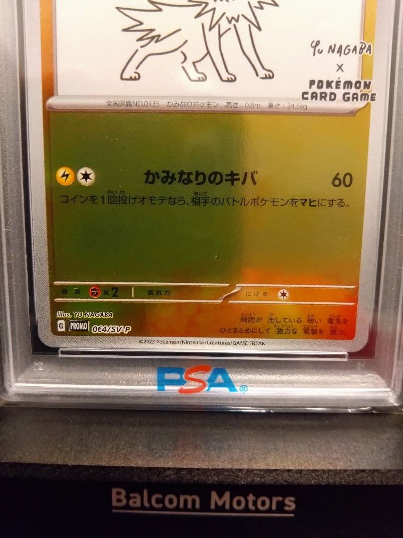 2023 ポケモン SV-P JP Jolteon #064 GEM MT