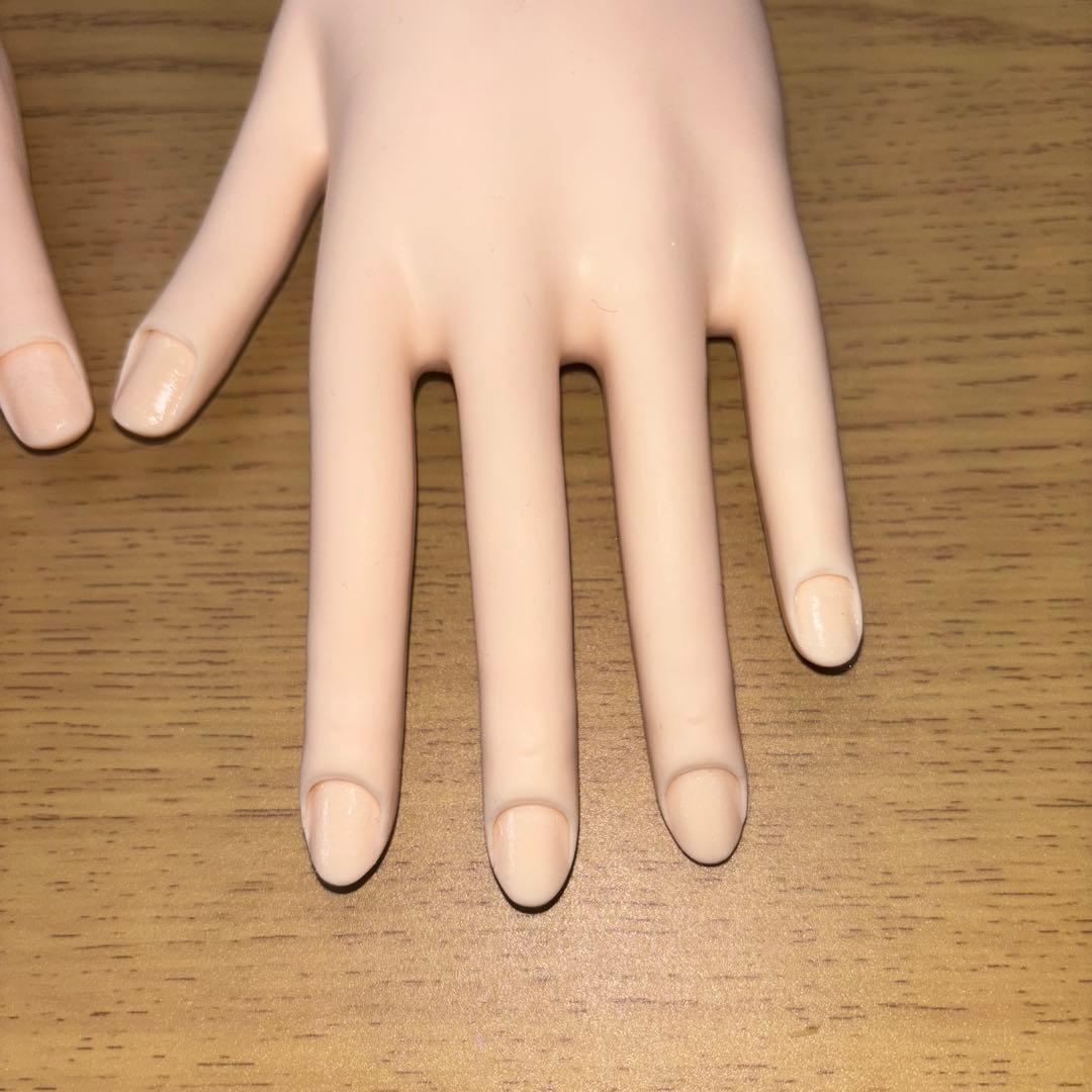 ネイリスト技能検定試験用 JNEC 認定モデルハンド