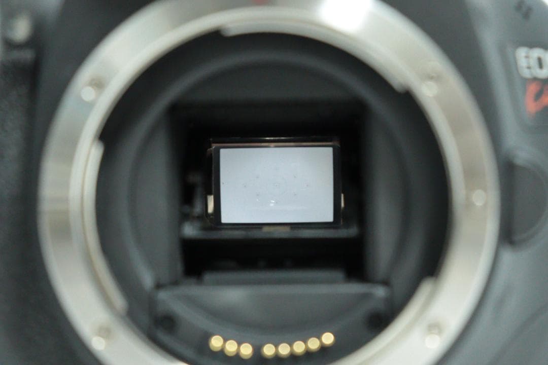 初心者おススメ✨Canon Kiss x4✨レンズセット✨スマホ転送