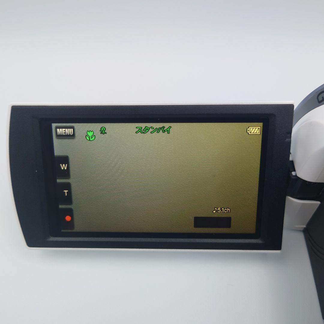 SONY ソニー ビデオカメラ　Handycam HDR-CX420