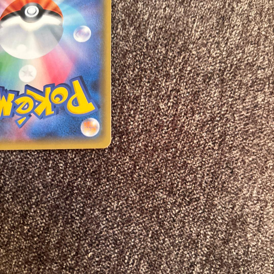 【美品】カルネ　SR