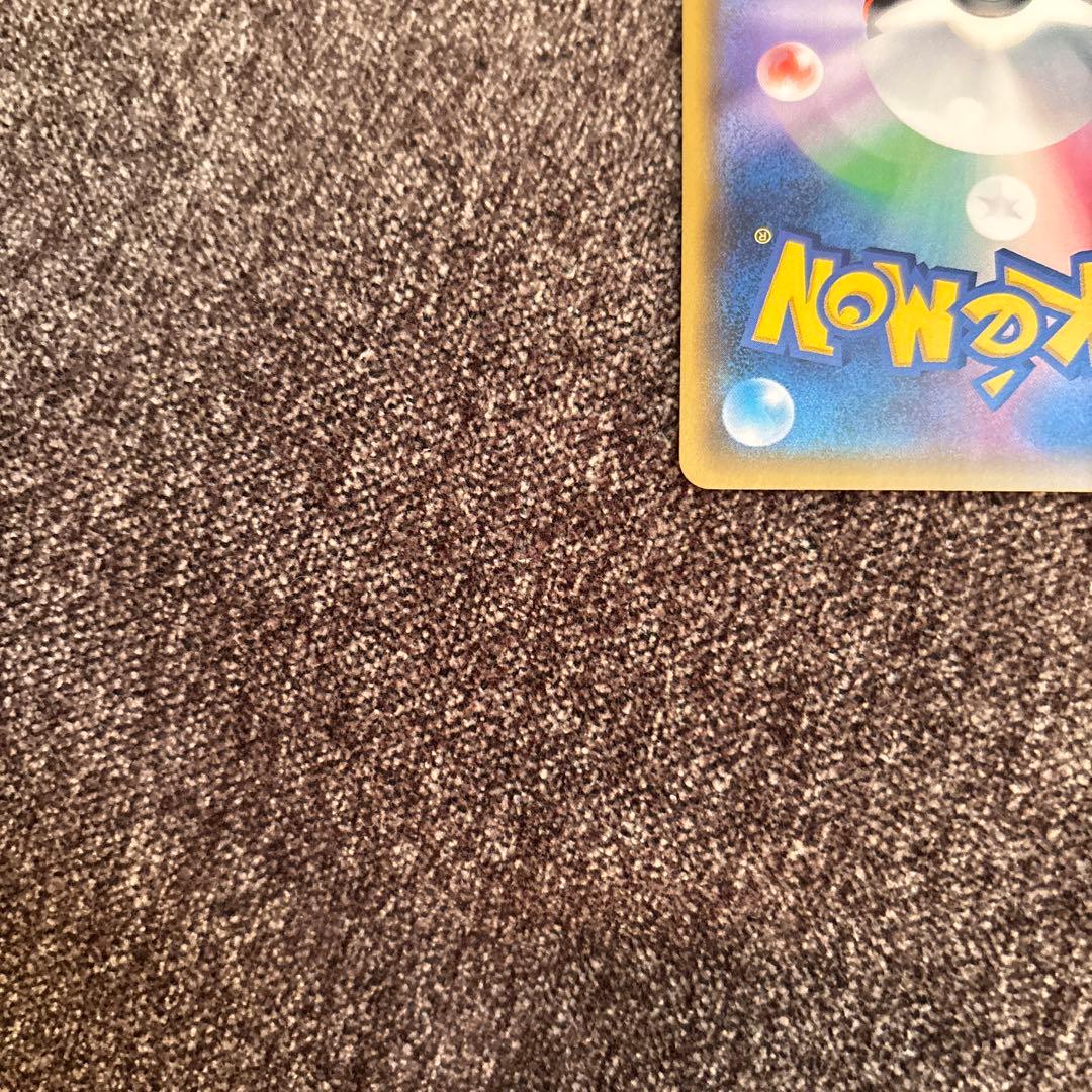 【美品】カルネ　SR